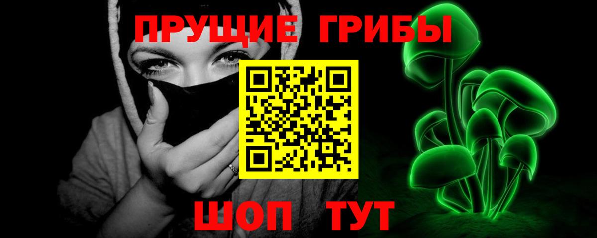 Галлюциногенные грибы мицелий  Псилоцибиновые грибы прущие грибы  Амурск  Вход с VPN 
